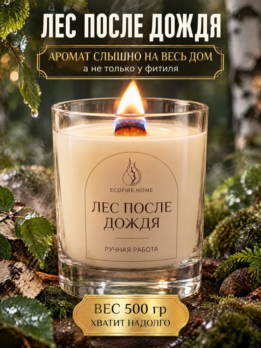 Лес после дождя